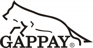 gappay_logo.jpg